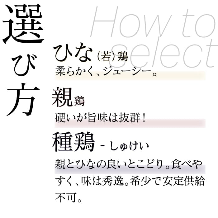 骨付き鶏　若（ひな）/親　食べ比べセット