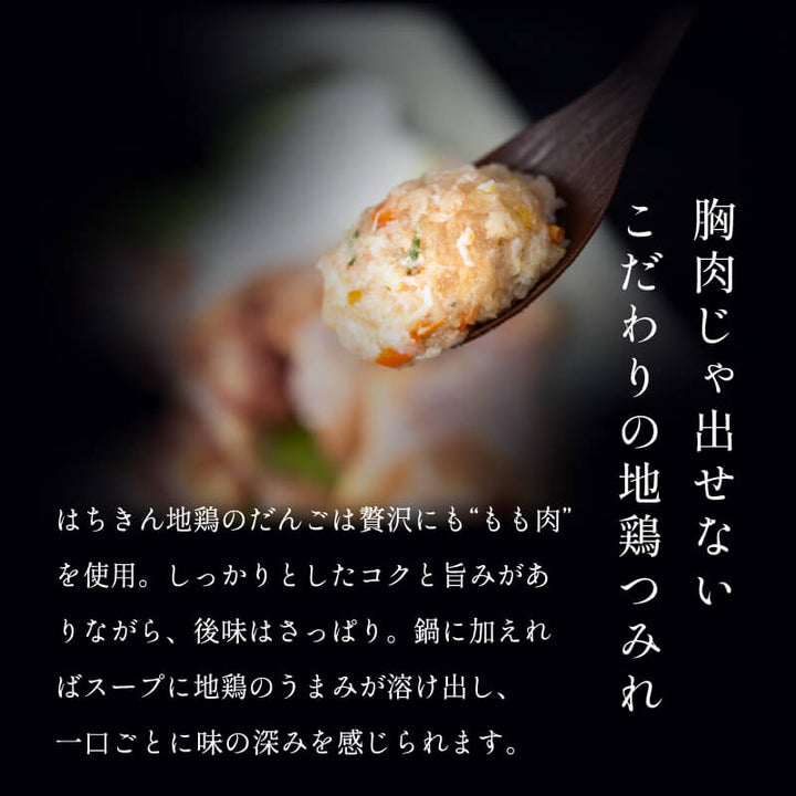 【送料込】 水炊き 鍋 はちきん地鶏 水炊きセット